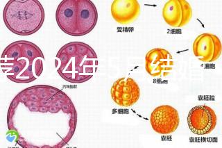 推薦2024年5月結婚的良辰吉日,最吉利的要數…