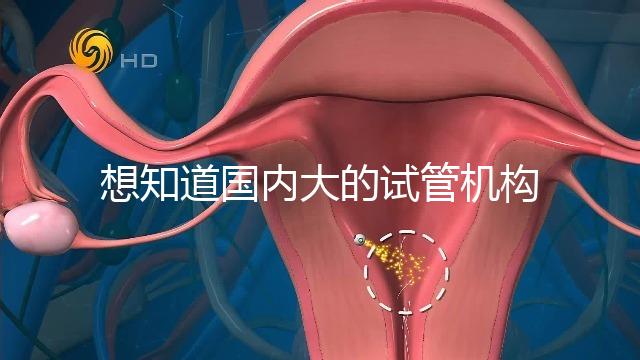 想知道國內(nèi)大的試管機(jī)構(gòu),可以查到的那種?