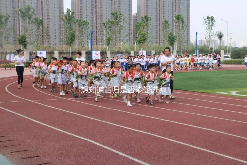 想知道當(dāng)歸是否能促進(jìn)卵泡發(fā)育,加入棗也能補充內(nèi)膜