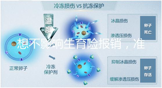 想不影響生育險報銷，準生證最晚得在這個時候辦！