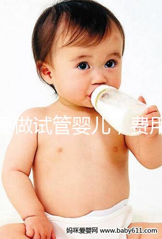 想要做試管嬰兒，費用預算大概是多少？