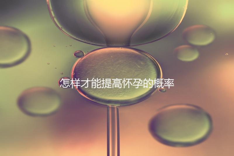 怎樣才能提高懷孕的概率？
