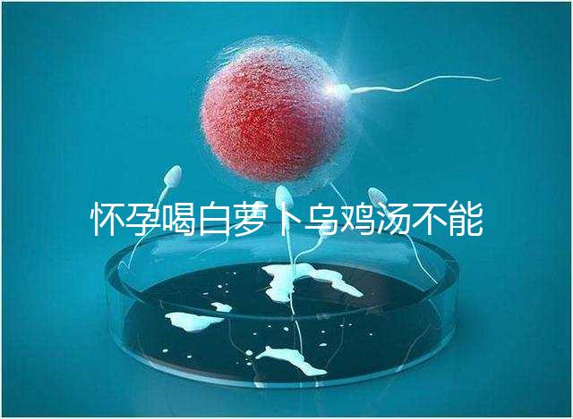 懷孕喝白蘿卜烏雞湯不能止孕吐？選對做法安胎又養顏