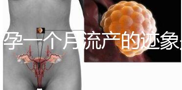 懷孕一個(gè)月流產(chǎn)的跡象是什么？