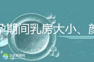 懷孕期間乳房大小、顏色變化有區別，男寶女寶這樣看