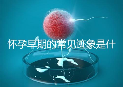 懷孕早期的常見(jiàn)跡象是什么?