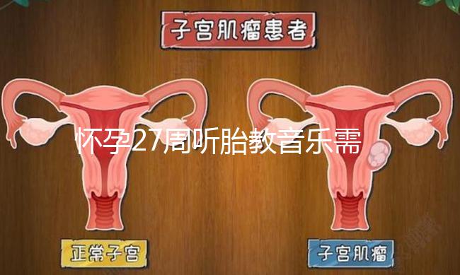 懷孕27周聽胎教音樂需要多長時(shí)間?過長會損害聽力