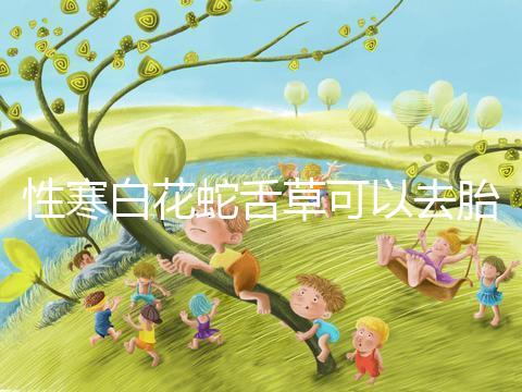 性寒白花蛇舌草可以去胎毒別亂吃！小心流產找上門