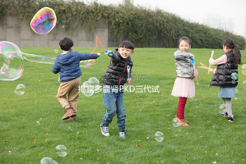 揭露多囊腎PKD三代試管取17個卵異常怎么辦？