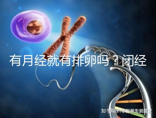 有月經就有排卵嗎？閉經、絕經還能做試管嬰兒嗎？