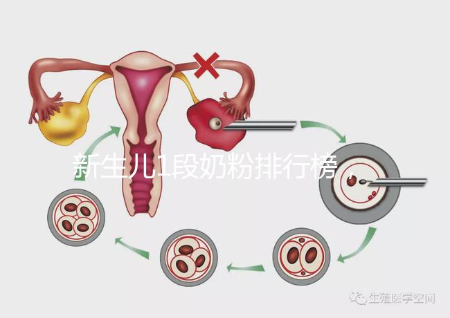 新生兒1段奶粉排行榜，口碑好、價格實惠的品牌紛紛上榜