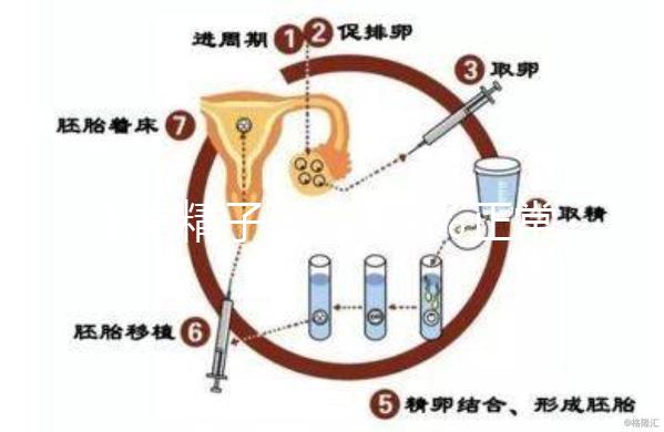 正常精子形態＞4％正常，流產與精子質量不好也有關