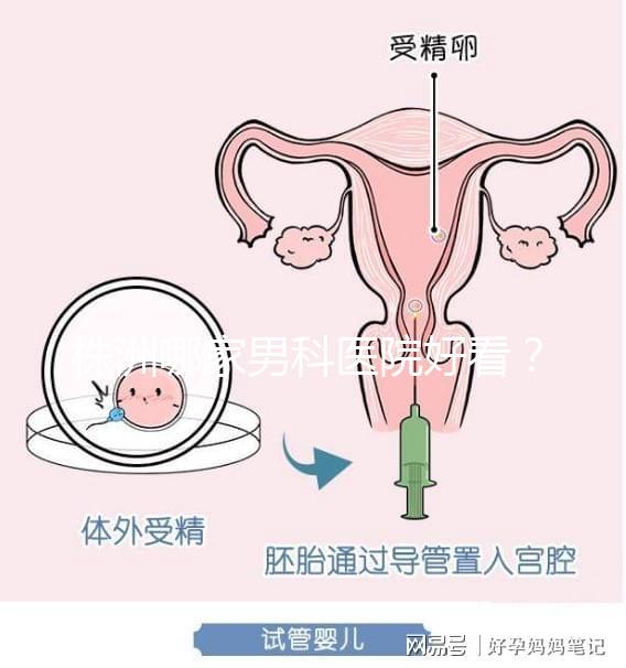 株洲哪家男科醫院好看？這位醫生的專業成本還很低