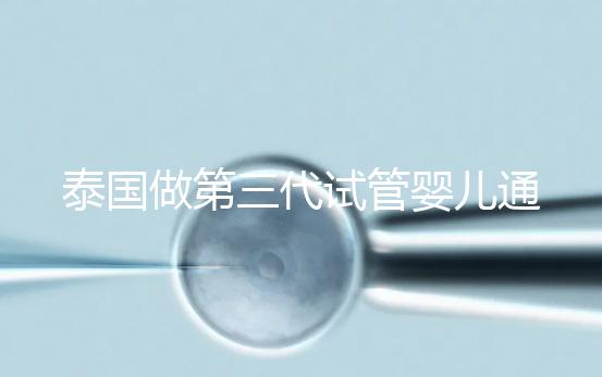 泰國做第三代試管嬰兒通常費用多少？高嗎？