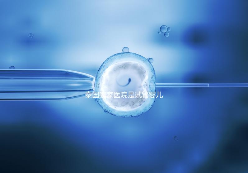 泰國哪家醫(yī)院是試管嬰兒最強大的醫(yī)院?這五家公司最受歡迎