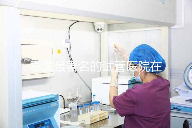 泰國最著名的試管醫(yī)院在哪里最好？推薦助孕機構名單