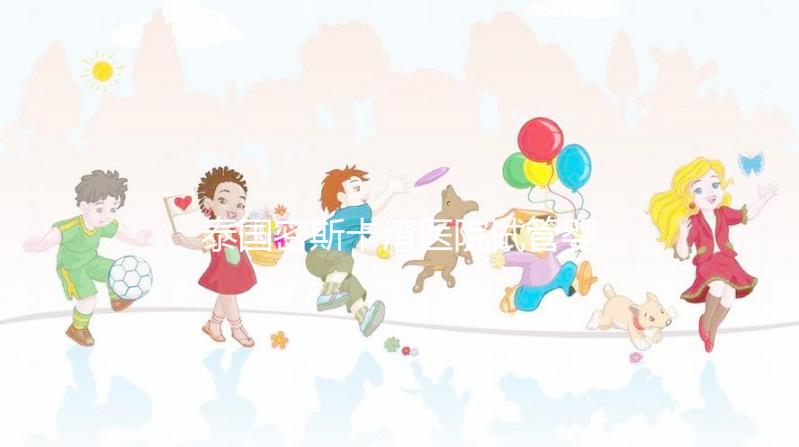 泰國密斯卡灣醫院試管嬰兒價格指南附項目及費用明細！