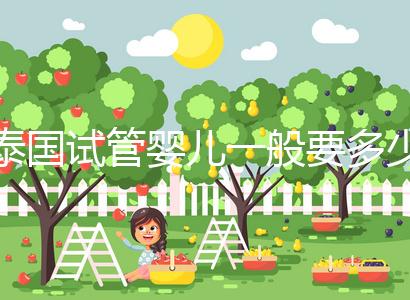 泰國試管嬰兒一般要多少錢(泰國試管嬰兒一般要多少錢費(fèi)用)