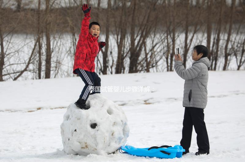 泰國(guó)試管嬰兒步驟詳解：2025年最新流程