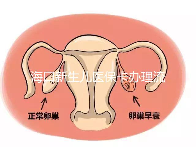 海口新生兒醫保卡辦理流程更新，附2024秀英、龍華區手續