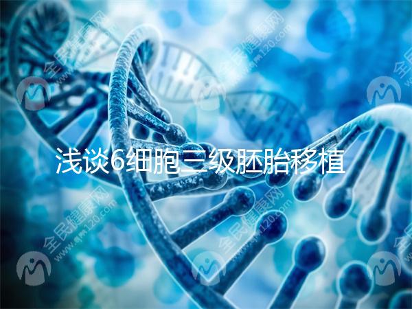 淺談6細胞三級胚胎移植成功率高低，是養還是移看完便知
