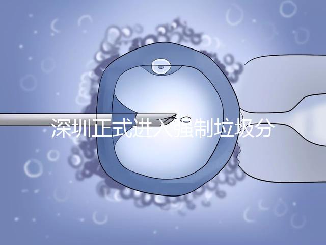 深圳正式進入強制垃圾分類時代，不分類最高被罰50萬!