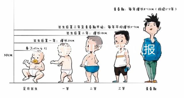 深圳試管嬰兒費用可以報銷嗎？
