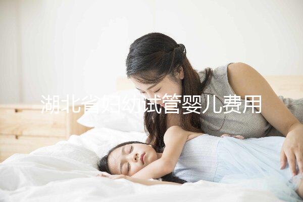 湖北省婦幼試管嬰兒費用指南,單次助孕收費標(biāo)準(zhǔn)參考
