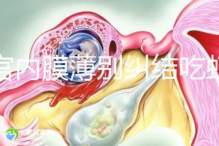 子宮內膜薄別糾結吃蝦可不可以補上來了,效果好壞一看便知