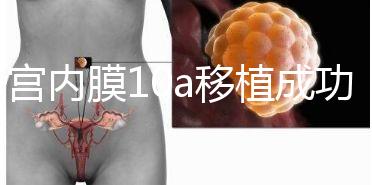 子宮內膜10a移植成功率高別還不知道，放入鮮胚厚度剛剛好