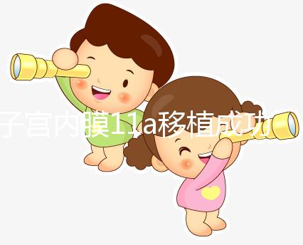 子宮內膜11a移植成功率解析，好不好、適不適合著床看這