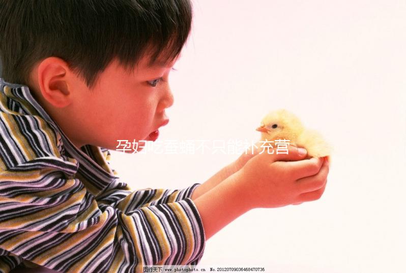 孕婦吃蠶蛹不只能補充營養，80%的人都不知道有這些好處