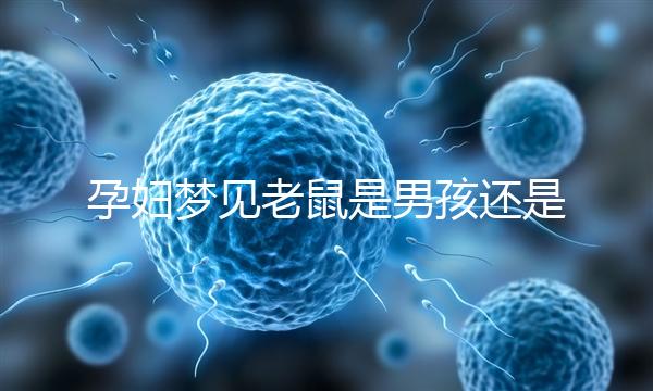 孕婦夢見老鼠是男孩還是女孩不再糾結(jié),詳細(xì)預(yù)兆解讀看這