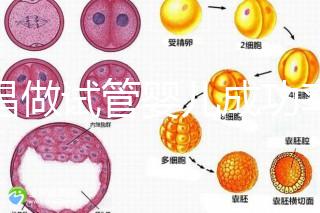 宜昌做試管嬰兒成功率和費用多少？先看哪些醫院能做吧！