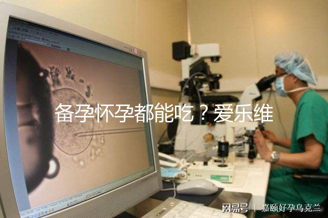 備孕懷孕都能吃？愛樂維的作用和功效大盤點