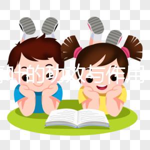 大青葉的功效與作用(大青葉對(duì)女性的好處)