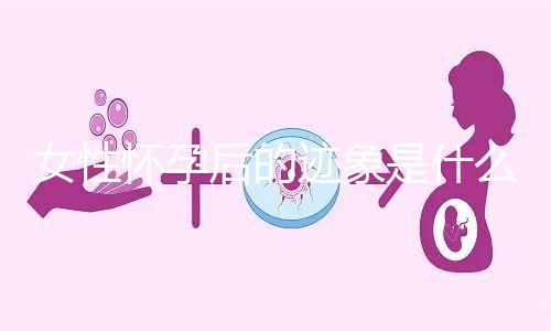 女性懷孕后的跡象是什么？