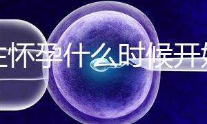 女性懷孕什么時候開始更準確?