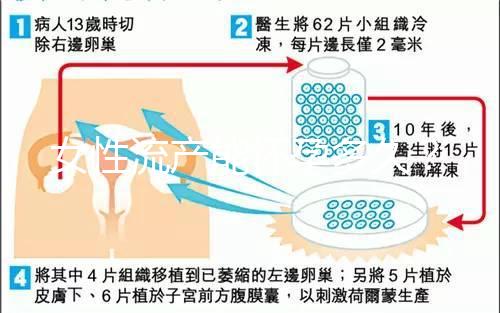 女性流產能懷孕多久?