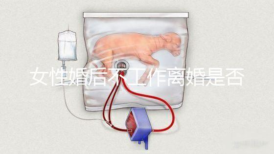 女性婚后不工作離婚是否還錢(qián)有規(guī)定,如何處理需要早知道