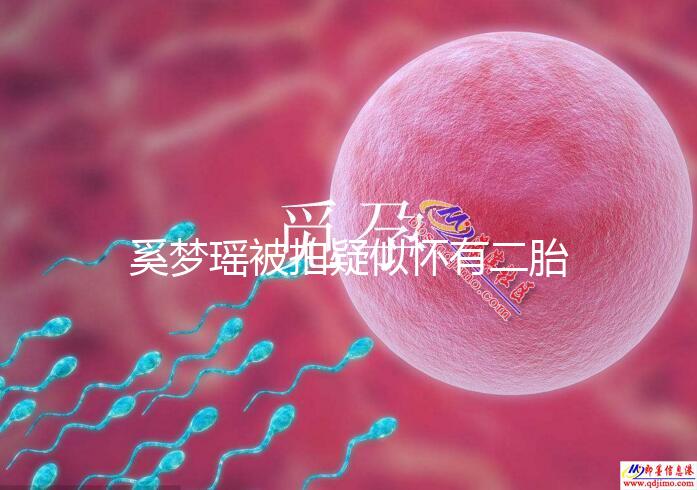 奚夢(mèng)瑤被拍疑似懷有二胎,四太陪同產(chǎn)檢未見何猷君