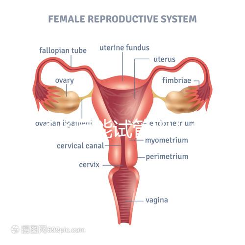 得了腎病能試管嬰兒懷孕嗎？哪些腎臟病不適宜懷孕？