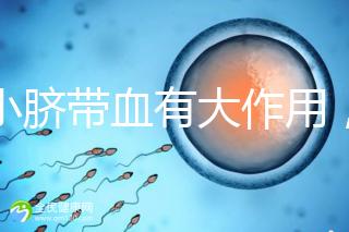 小小臍帶血有大作用，不僅能治療白血病還能拯救腦癱兒