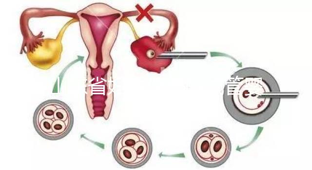 山東省婦幼保健院試管嬰兒怎么樣，新版助孕成功率數據公布