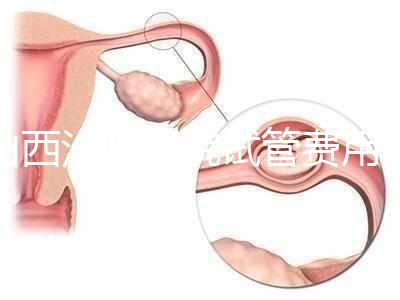 山西汾陽醫院試管費用清單公布，2024年生殖科助孕成功率公布