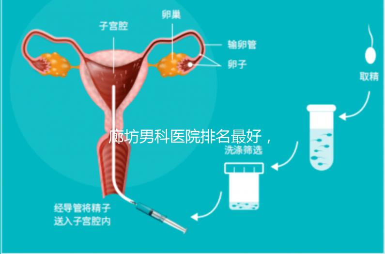廊坊男科醫(yī)院排名最好,醫(yī)院出爐!廣陽(yáng)這些機(jī)構(gòu)可以排隊(duì)