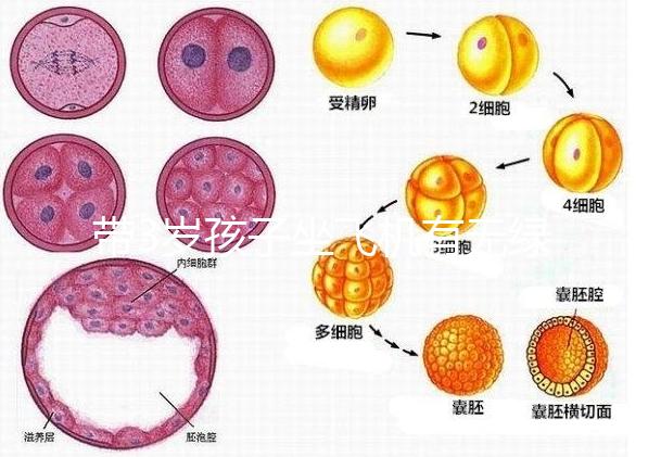 帶3歲孩子坐飛機(jī)有無(wú)綠色通道答案揭曉，提前申請(qǐng)免排隊(duì)