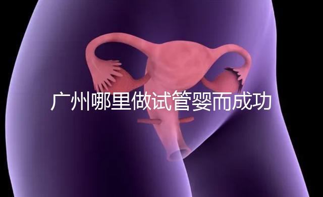 廣州哪里做試管嬰而成功率高？如何提高成功率？