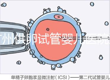 廣州供卵試管嬰兒醫(yī)院匯總，真實(shí)案例告訴你廣東哪家最好