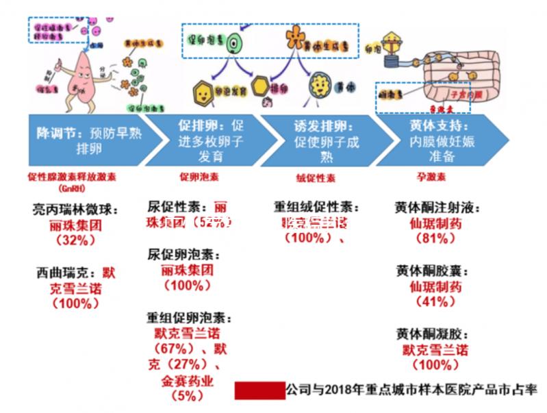 廣州市生殖科醫院排名解析，成功率最高的前三家機構分享